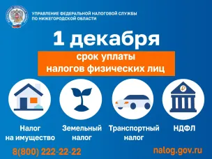 1 декабря 2025 года - срок уплаты имущественных налогов физическими лицами за 2024 год. На что стоит обратить внимание и как исполнить свою обязанность по уплате налогов в срок.